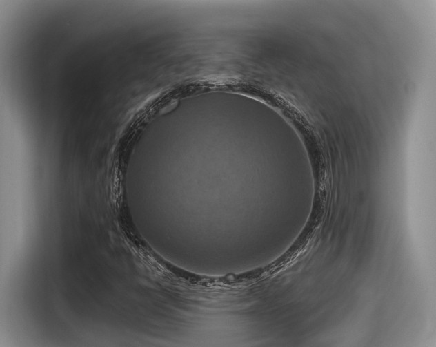 X0000115451398200911121144