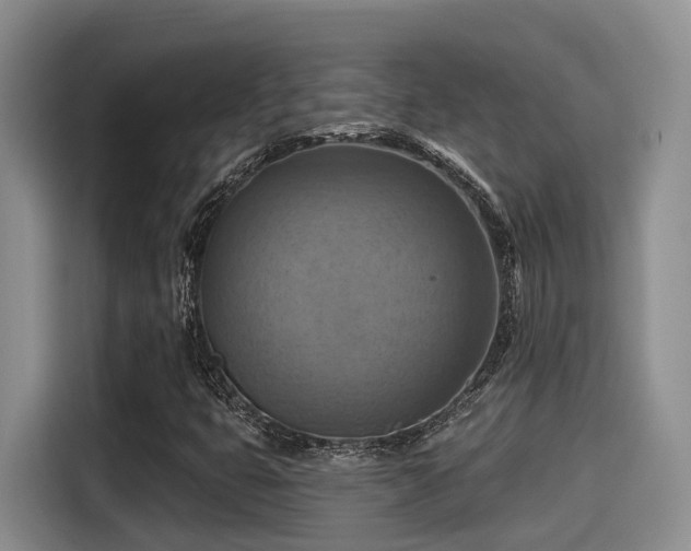 X0000115451399200911121144