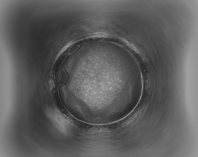 X0000115451400200911121144