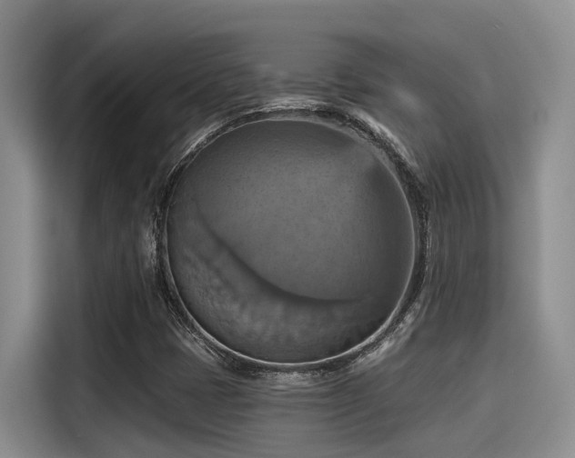 X0000115451401200911121144
