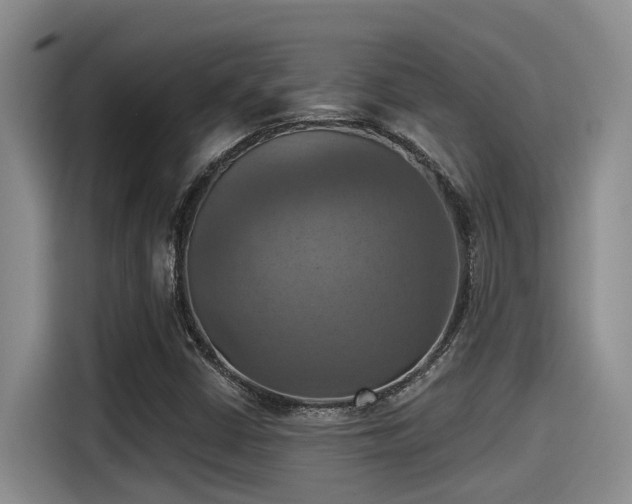 X0000115451402200911121144