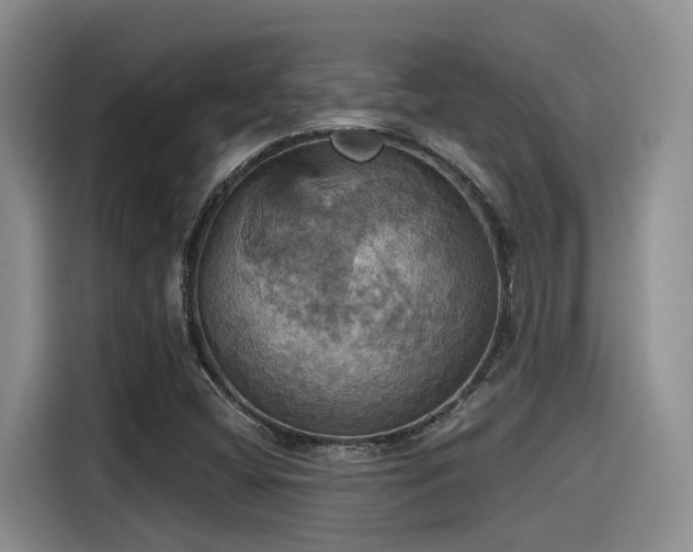 X0000115451404200911121144