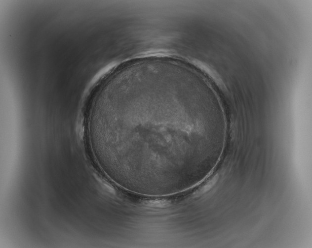 X0000115451406200911121144