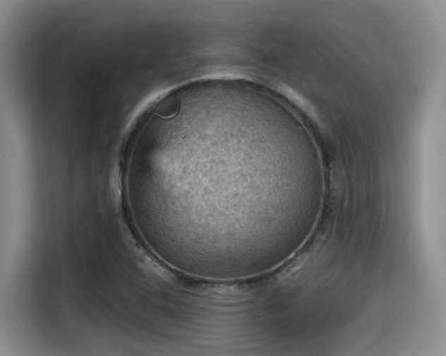 X0000115451408200911121144
