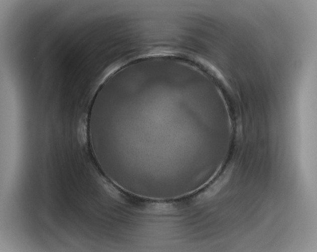 X0000115451409200911121144