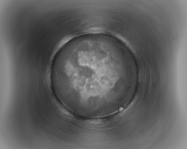 X0000115451410200911121144