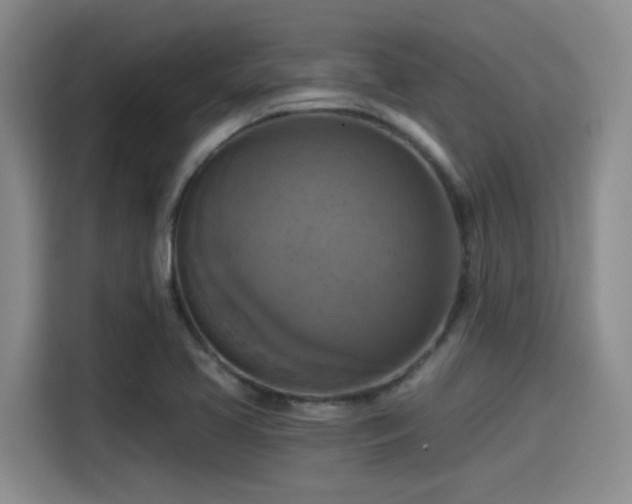 X0000115451413200911121144