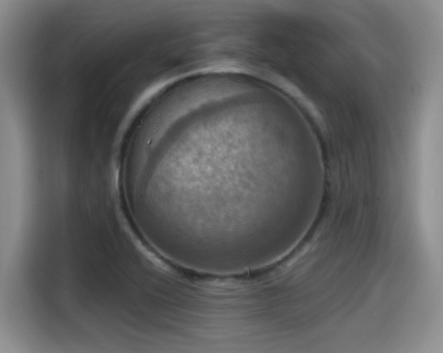 X0000115451416200911121145