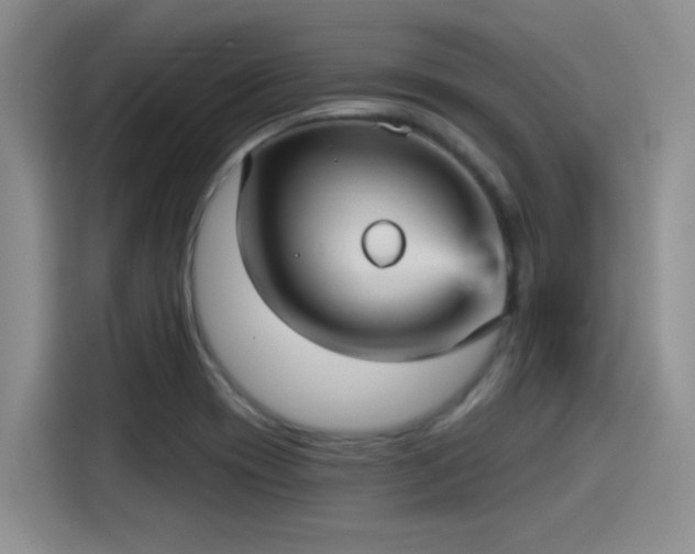 X0000115451417200911121145