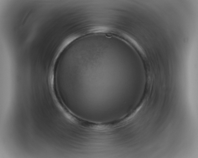 X0000115451418200911121145