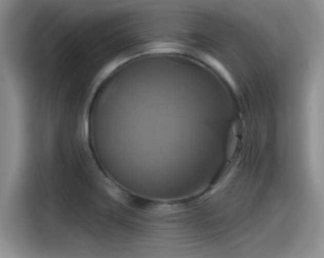 X0000115451419200911121145