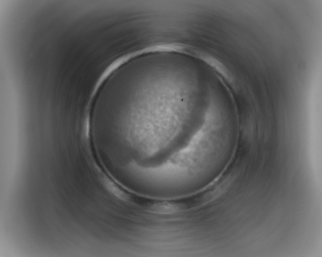 X0000115451420200911121145