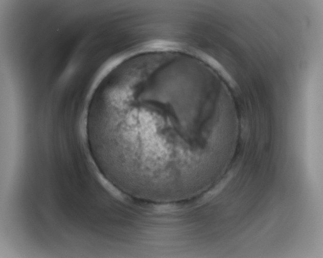 X0000115451421200911121145