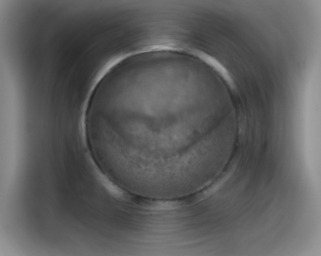 X0000115451423200911121145