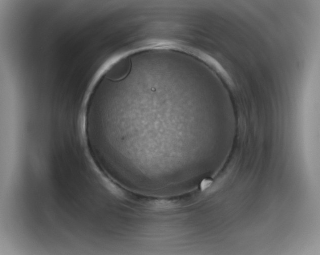 X0000115451424200911121145