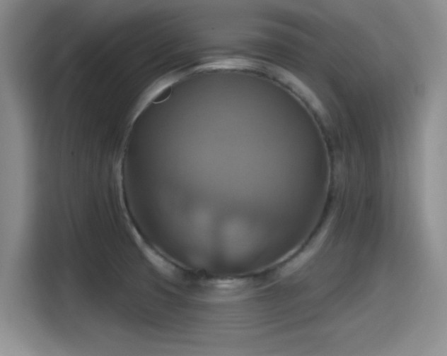 X0000115451425200911121145