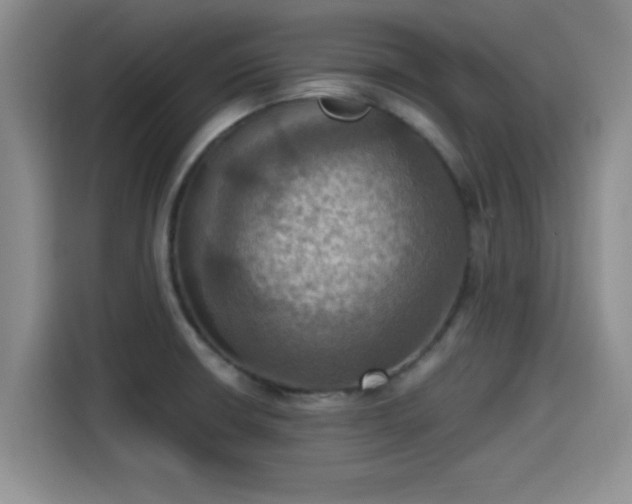 X0000115451426200911121145