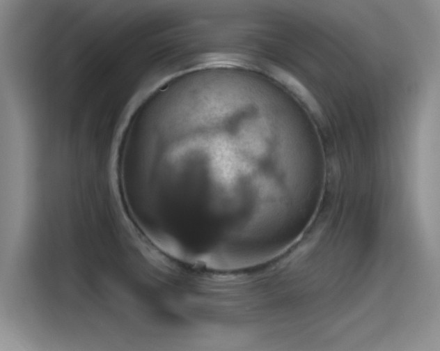 X0000115451427200911121145