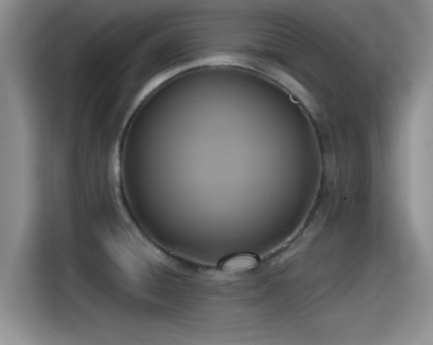 X0000115451428200911121145