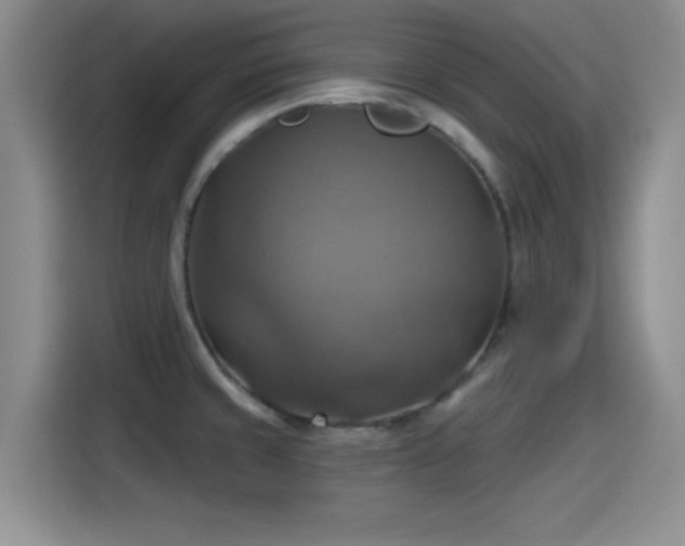 X0000115451429200911121145