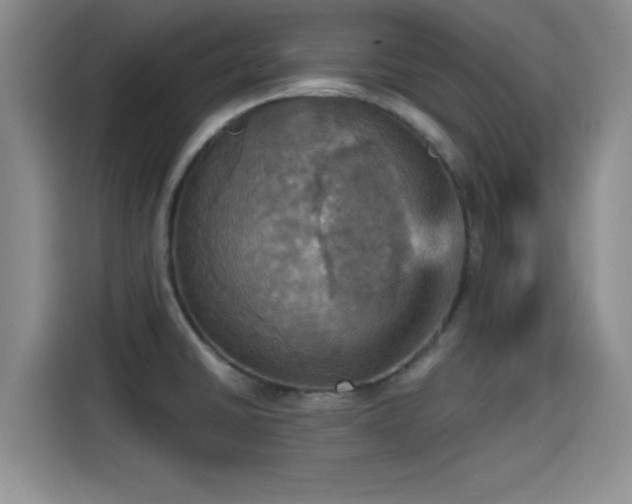 X0000115451430200911121145