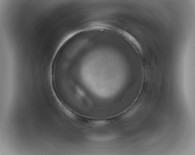 X0000115451431200911121145