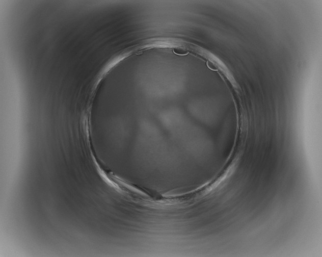 X0000115451433200911121145