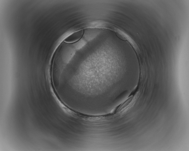 X0000115451434200911121145