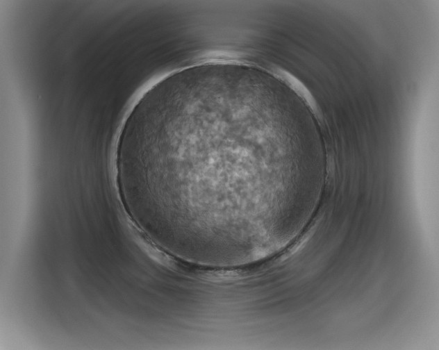 X0000115451435200911121145