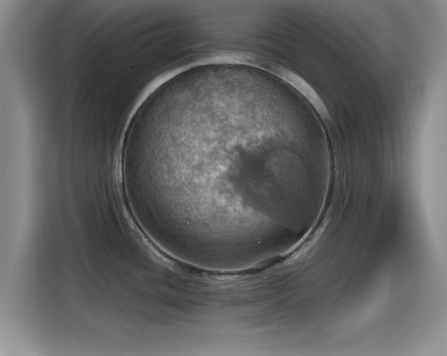 X0000115451436200911121145