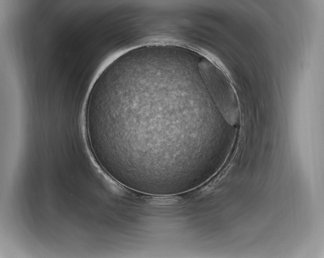 X0000115451440200911121145
