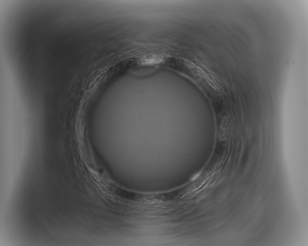 X0000115451441200911121144