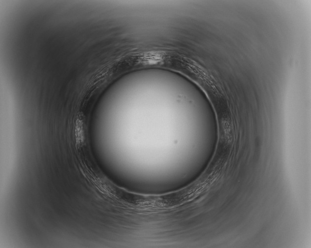 X0000115451442200911121144