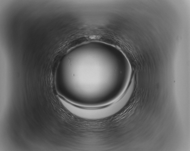 X0000115451443200911121144