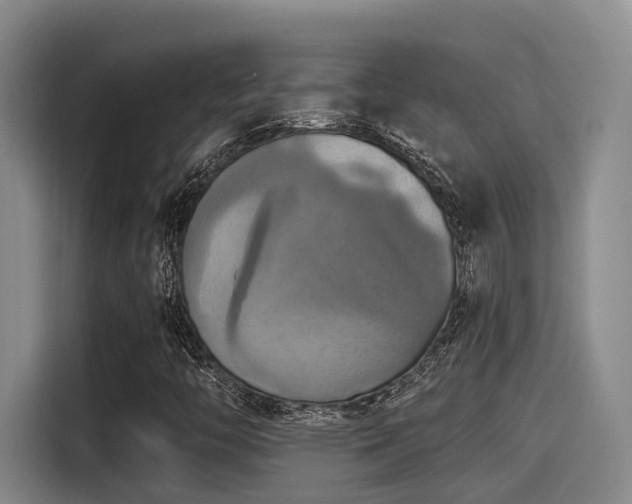 X0000115451446200911121144