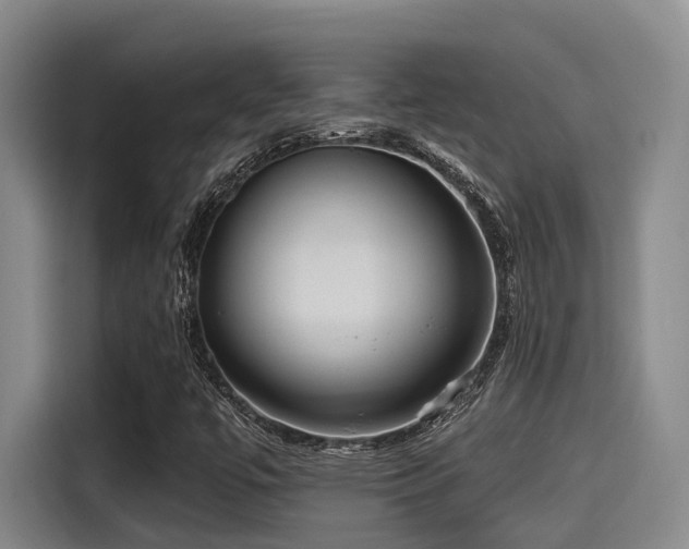 X0000115451447200911121144