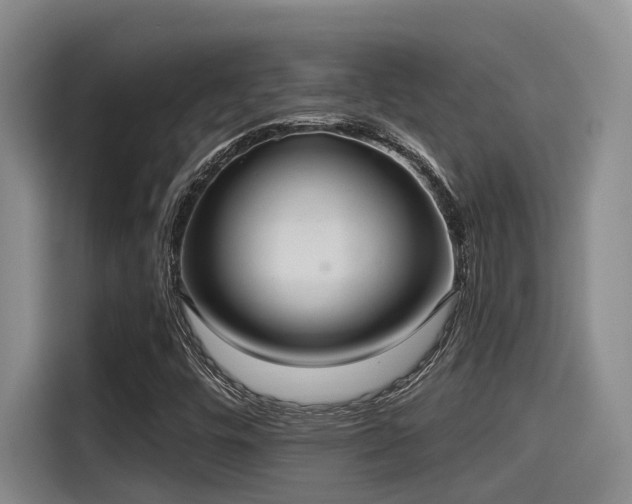 X0000115451448200911121144