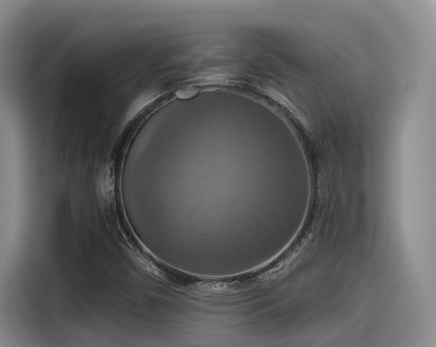 X0000115451450200911121144