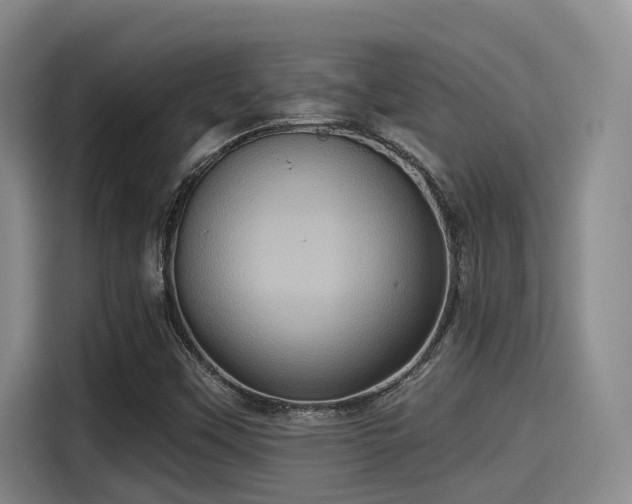 X0000115451451200911121144