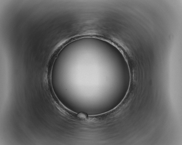 X0000115451452200911121144