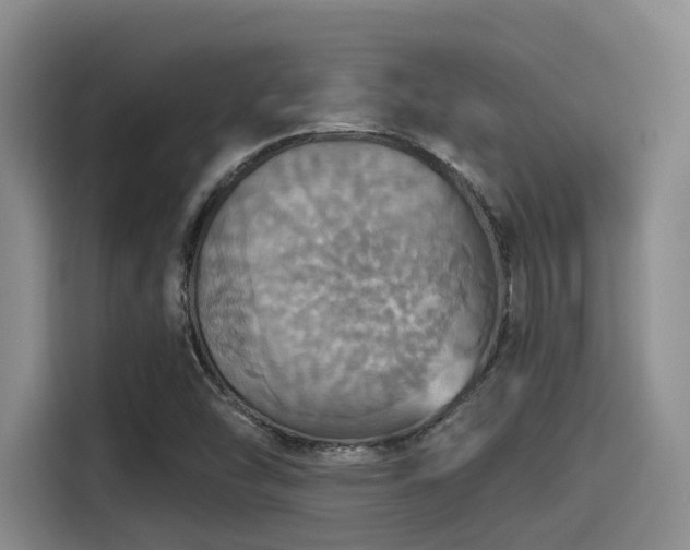 X0000115451454200911121144