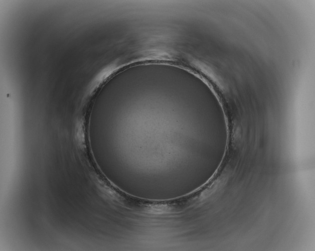 X0000115451455200911121144