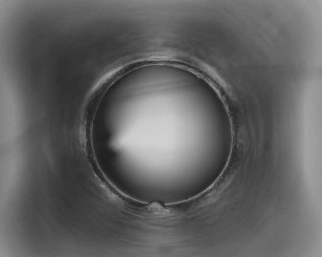 X0000115451456200911121144