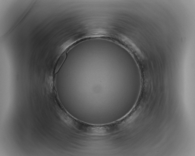 X0000115451457200911121144