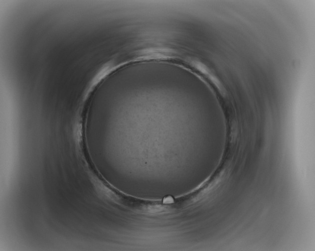 X0000115451459200911121144