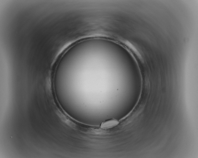 X0000115451460200911121144