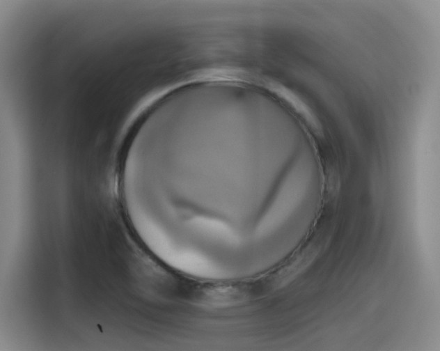 X0000115451462200911121144