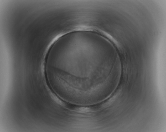 X0000115451463200911121144