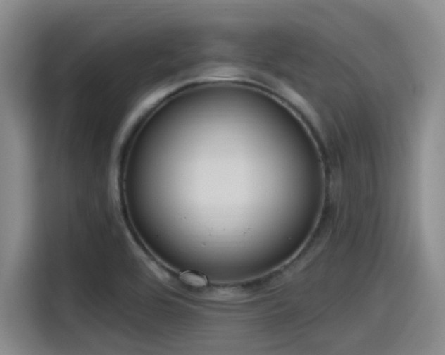 X0000115451464200911121144