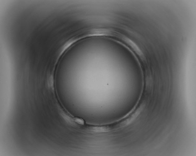 X0000115451465200911121144